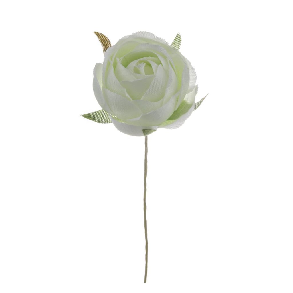 ROSELLINA PICCOLA DIA. 3