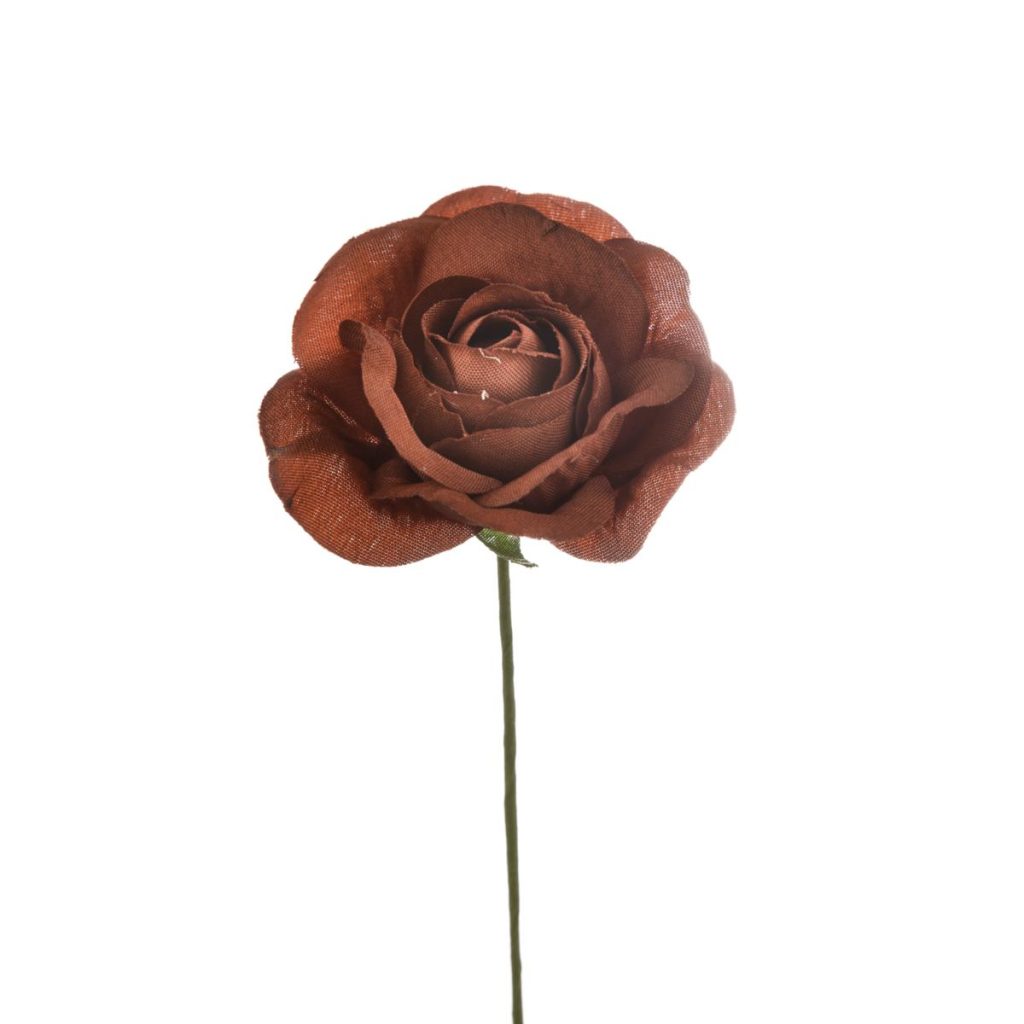 ROSELLINA MEDIA DIAM 4