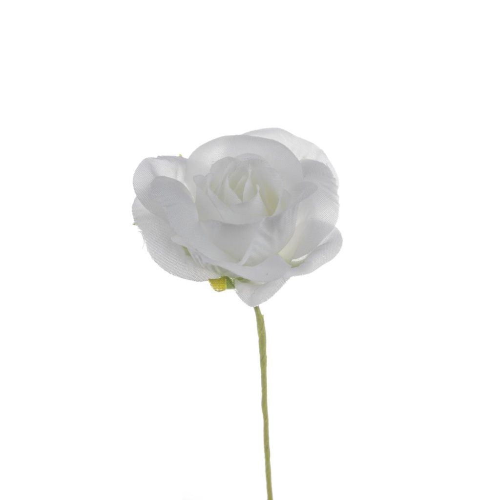 ROSELLINA MEDIA DIAM 4