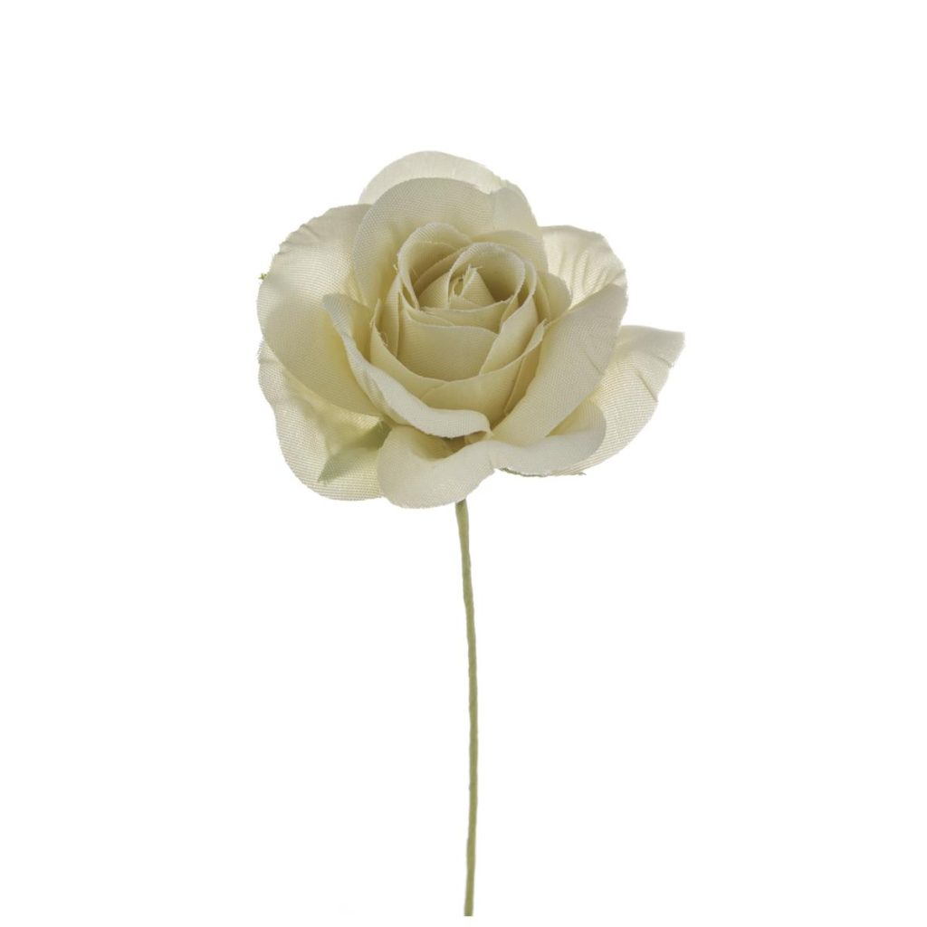 ROSELLINA MEDIA DIAM 4