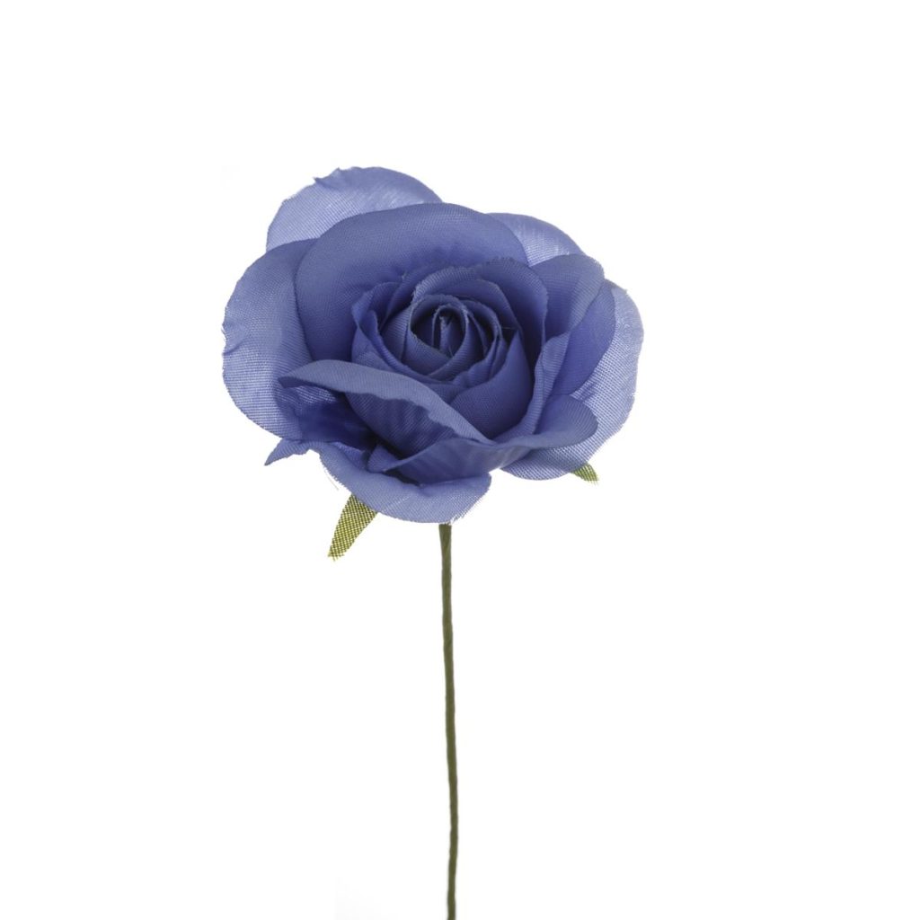 ROSELLINA MEDIA DIAM 4