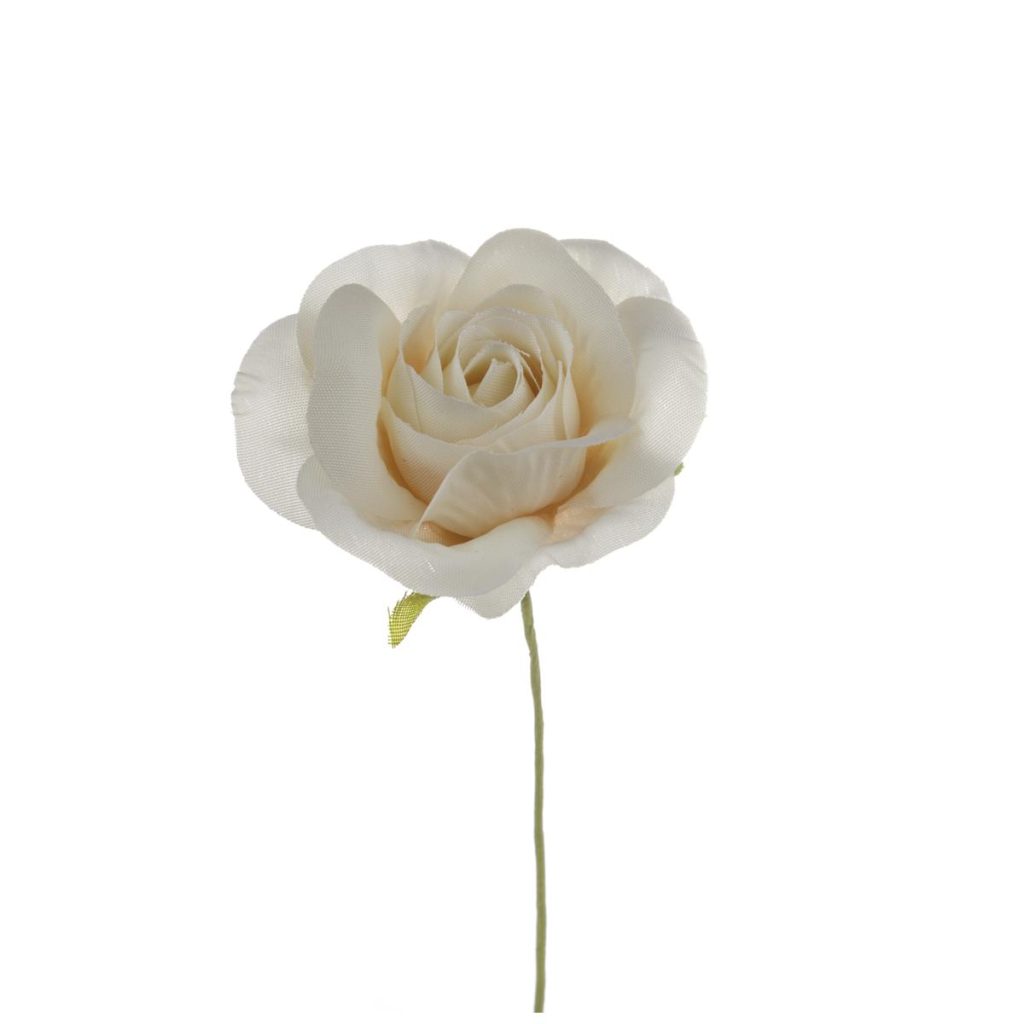 ROSELLINA MEDIA DIAM 4