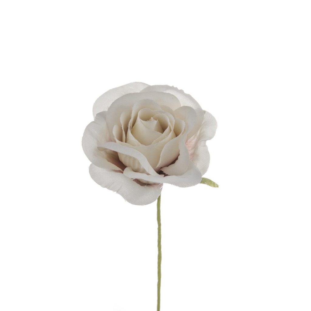 ROSELLINA MEDIA DIAM 4