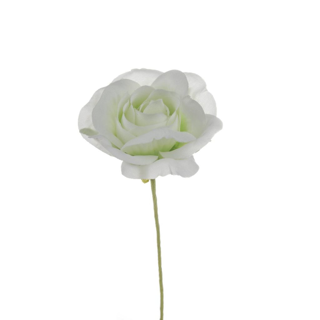 ROSELLINA MEDIA DIAM 4