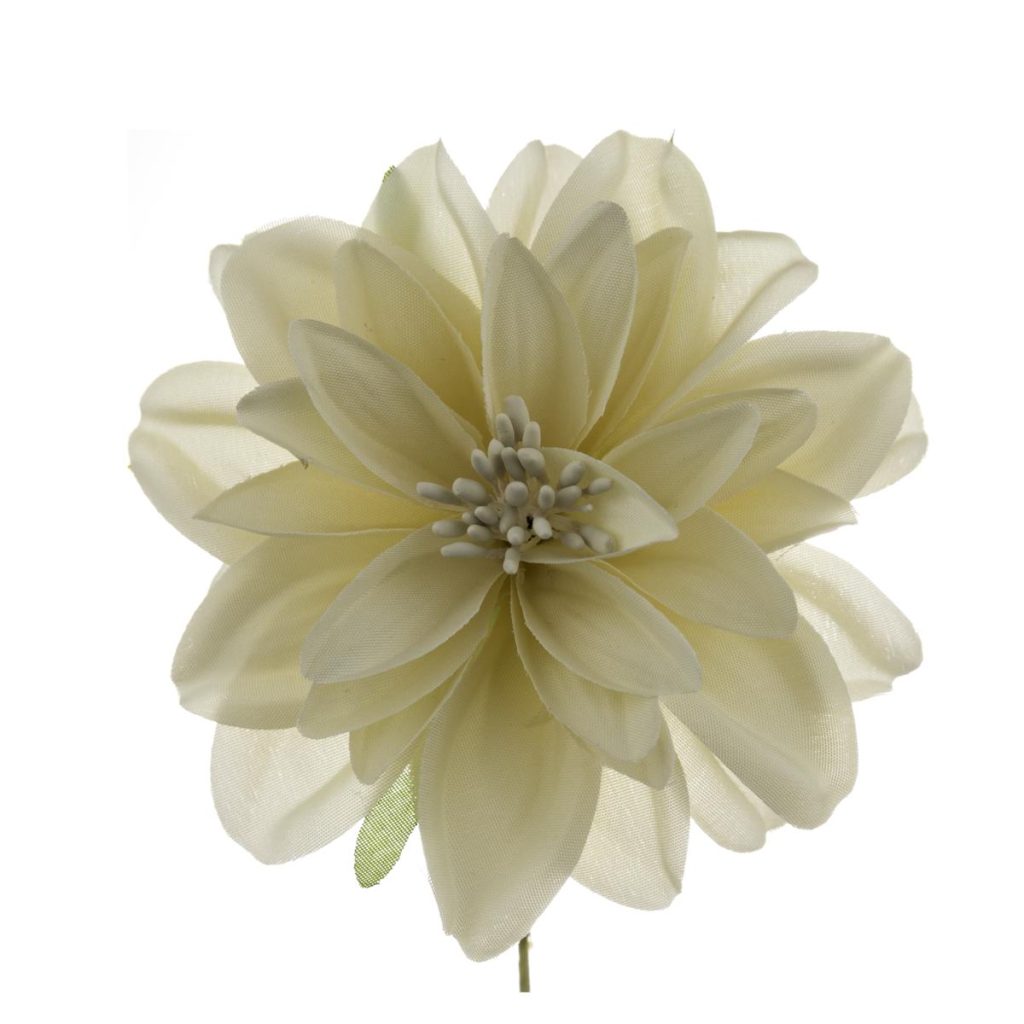 DALIA MEDIA DIAM. 9