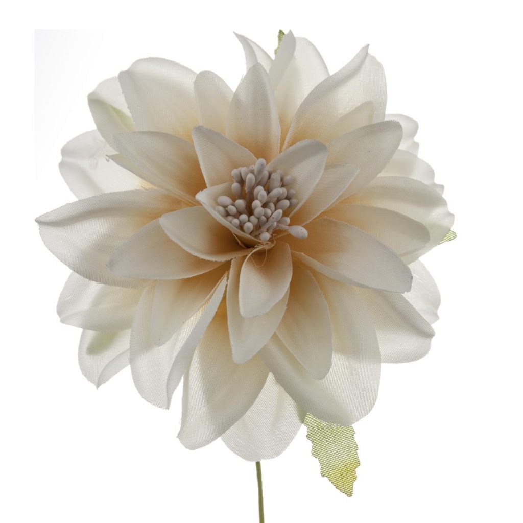 DALIA MEDIA DIAM. 9