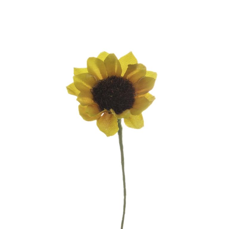 GIRASOLE PICCOLO DIAM. 2,5