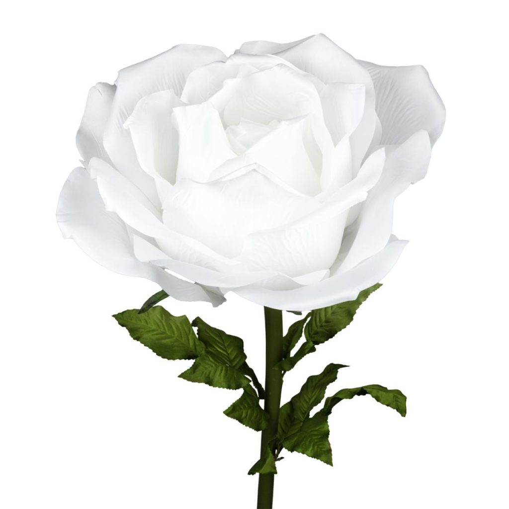 ROSA DIAM. 50 CM - STELO CM 110