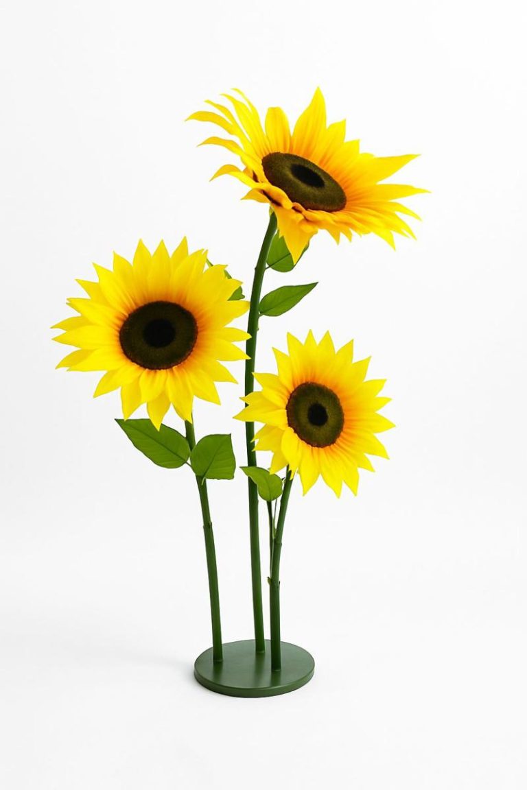GIRASOLE MEDIO 50 X 50 X 115