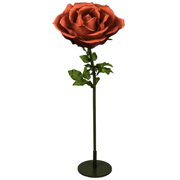ROSA BIG MIS 100 X 100 X 200