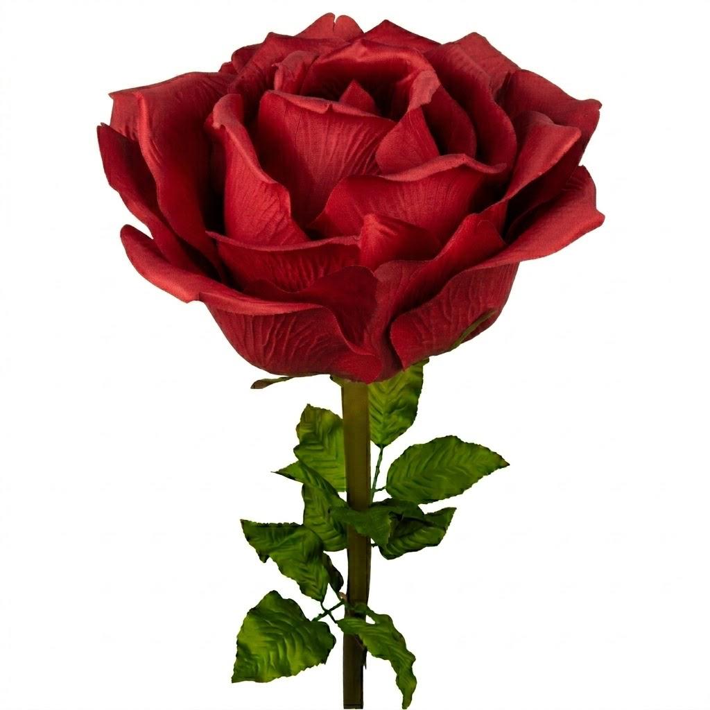 ROSA BIG MIS 100 X 100 X 200