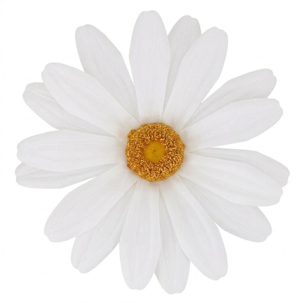 MARGHERITA PICCOLO MIS. 30 X 30 X 100