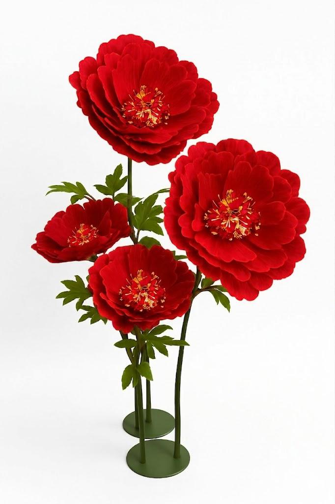 PEONIA PICCOLO MIS. 40 X 40 X 110
