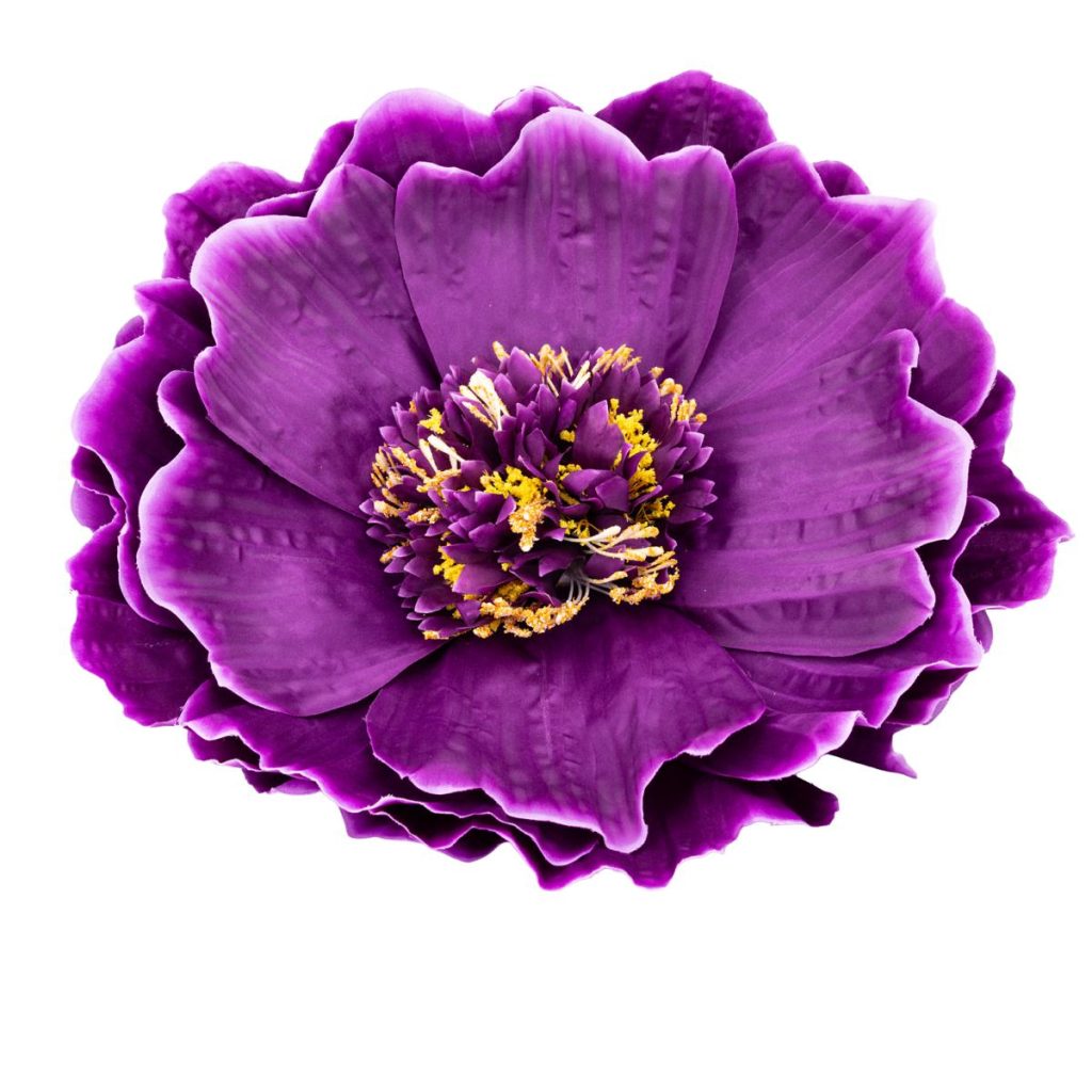 PEONIA PICCOLO MIS. 40 X 40 X 110
