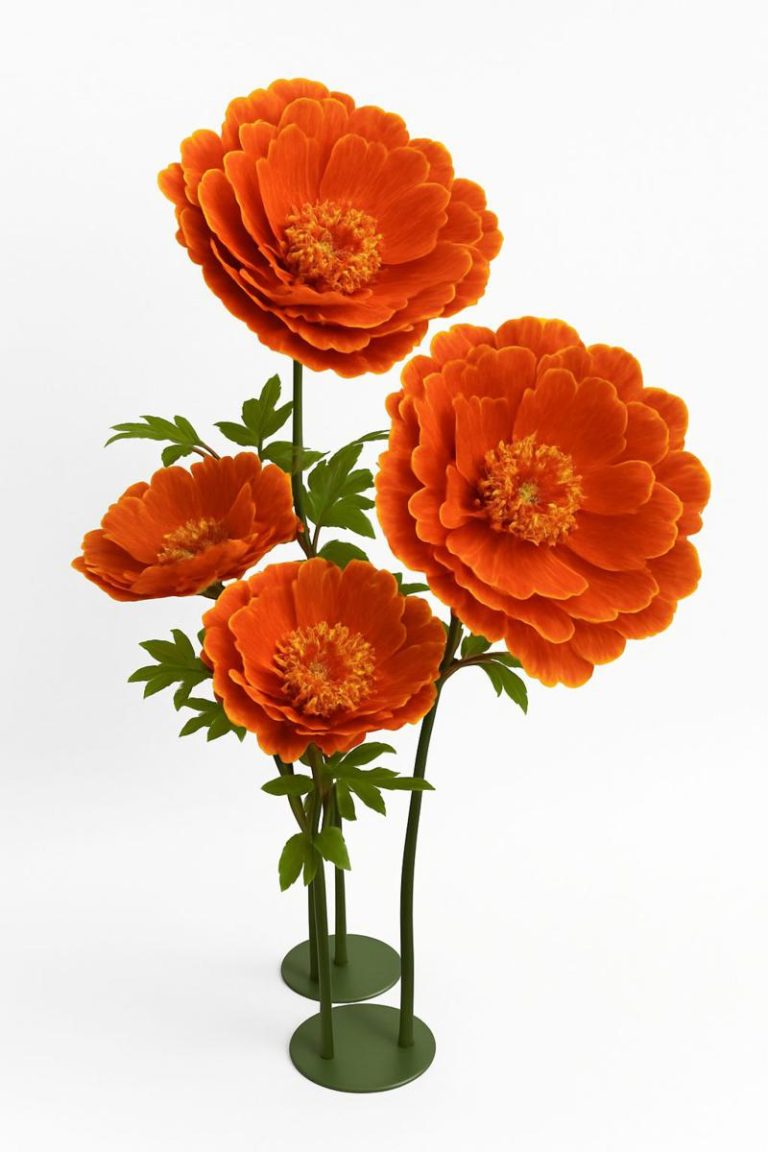 PEONIA MEDIA MIS. 50 X 50 X 130