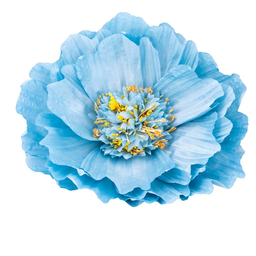 PEONIA MEDIA MIS. 50 X 50 X 130