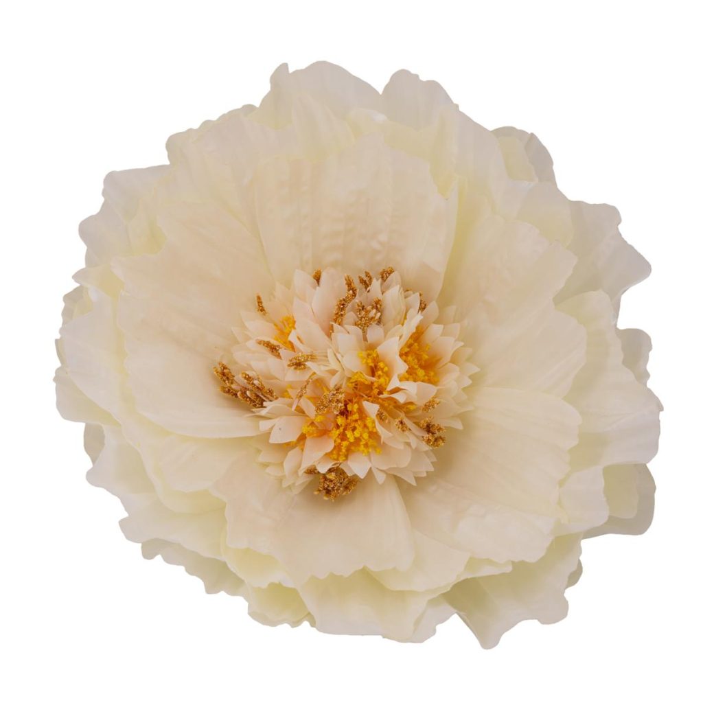 PEONIA GRANDE MIS. 60 X 60 X 150