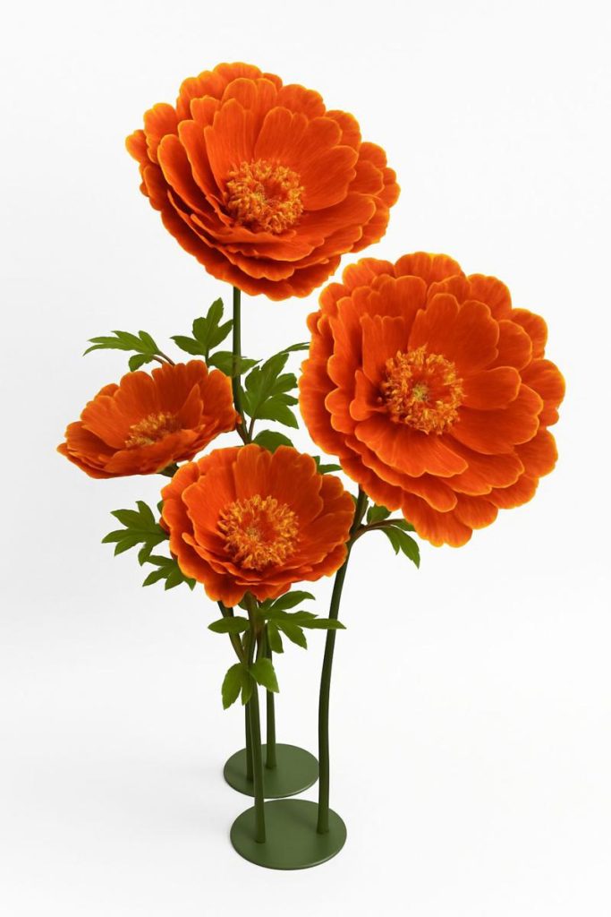 PEONIA BIG MIS. 70 X 70 X 170