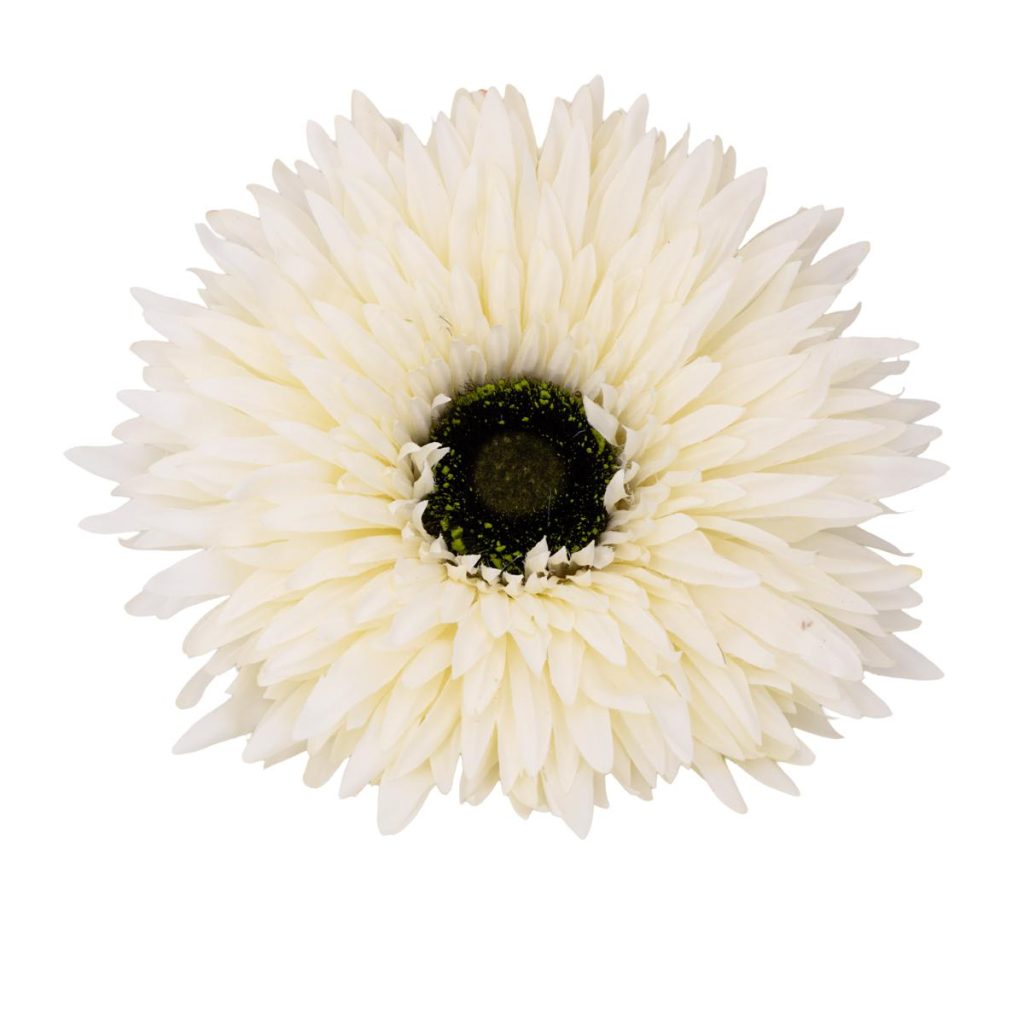 GERBERA MEDIA MIS. 40 X 40 X 125