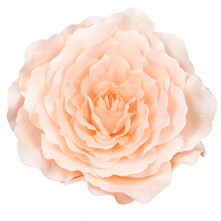 CAMELIA DIAM. 35 CM