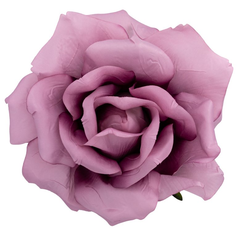 CAMELIA DIAM. 55 CM