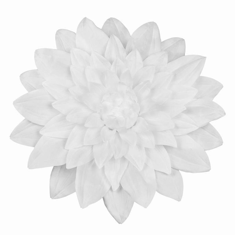 DALIA DIAM. 65 CM